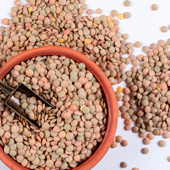 Green lentils in bowl