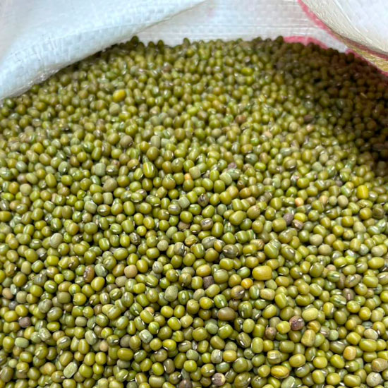 Mung beans in bulk bag