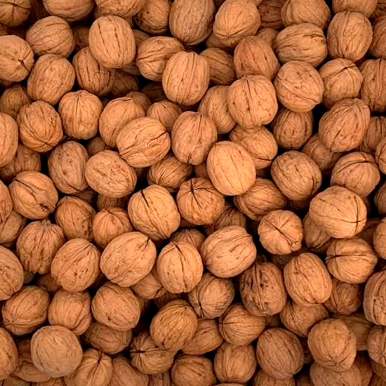 Walnuts inshell