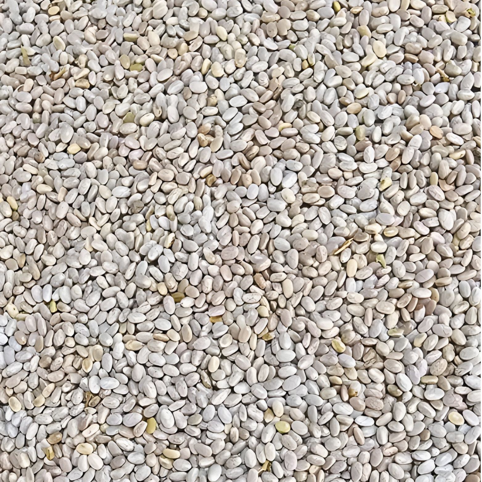 White Chia